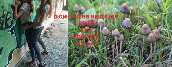 гидропоника Горнозаводск