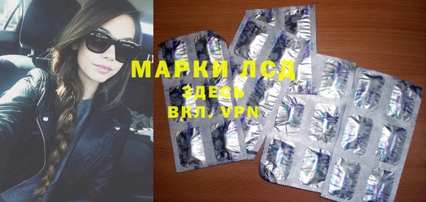 гидропоника Горнозаводск