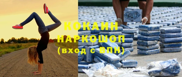 гидропоника Горнозаводск