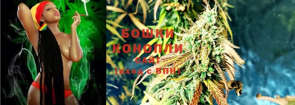 гидропоника Горнозаводск