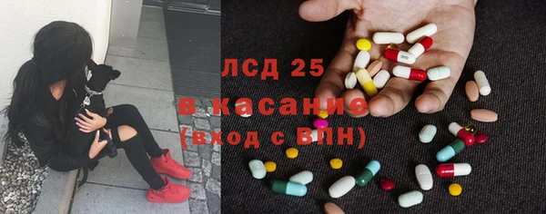 гидропоника Горнозаводск