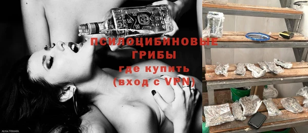 винт Горняк