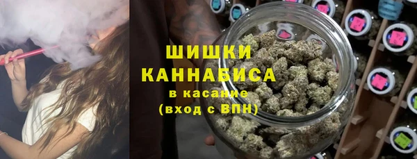 гидропоника Горнозаводск