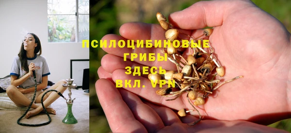 гидропоника Горнозаводск