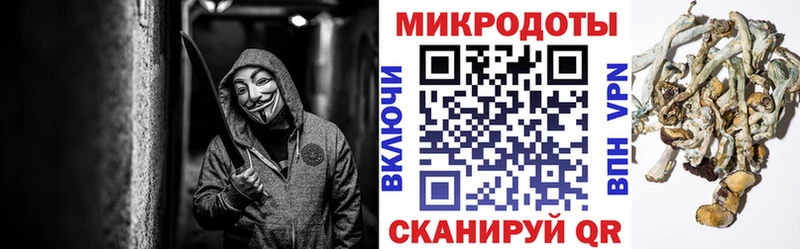 купить  сайты  Жигулёвск  Галлюциногенные грибы Magic Shrooms 